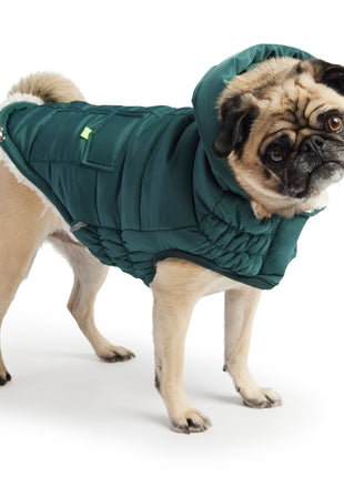 The Puff Parka - Teal