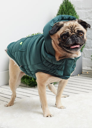 The Puff Parka - Teal