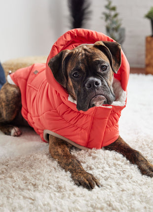 Nordic Parka