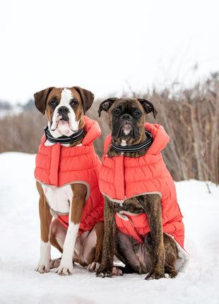 Nordic Parka