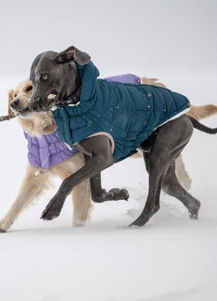 Nordic Parka