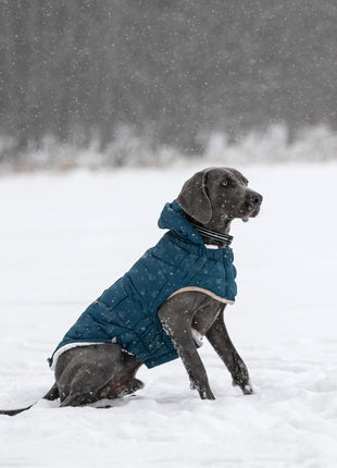 Nordic Parka