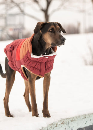 Retro Puffer - Dark Red