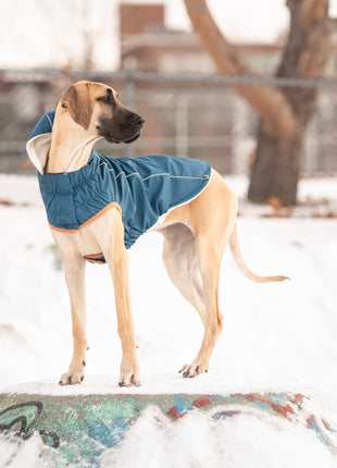 Insulated Raincoat - Dark Blue