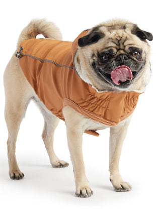 Insulated Raincoat - Hazel