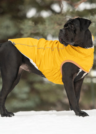 Insulated Raincoat - Yellow