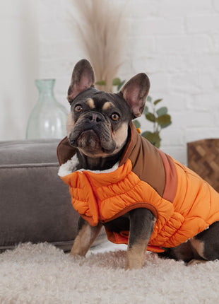 Camplife Puffer - Orange