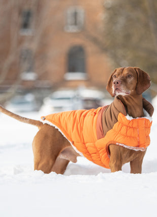 Camplife Puffer - Orange