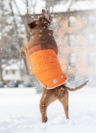 Camplife Puffer - Orange