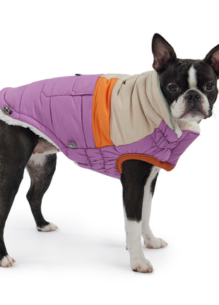 Camplife Puffer - Purple