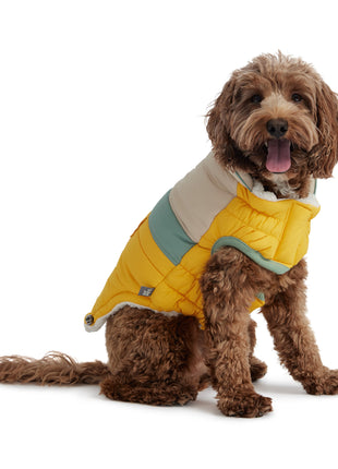 Camplife Puffer - Yellow