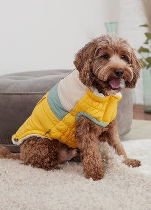 Camplife Puffer - Yellow