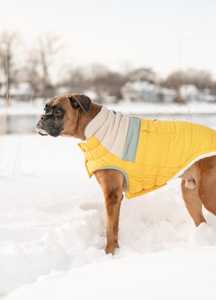 Camplife Puffer - Yellow