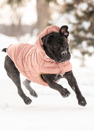Arctic Parka - Clay
