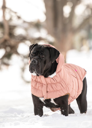 Arctic Parka - Clay