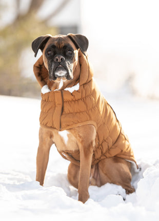 Arctic Parka - Wood