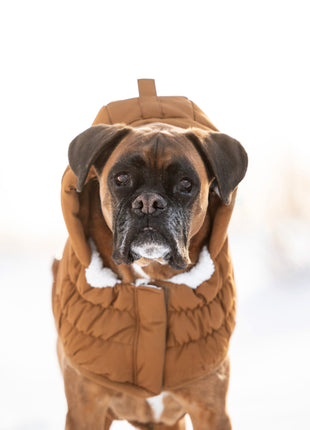 Arctic Parka - Wood