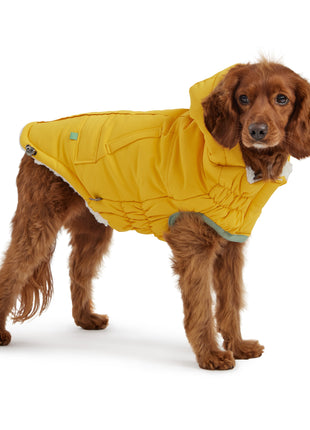 Arctic Parka - Yellow
