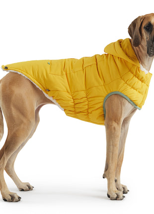 Arctic Parka - Yellow