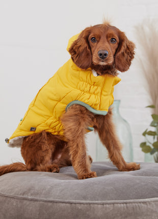 Arctic Parka - Yellow