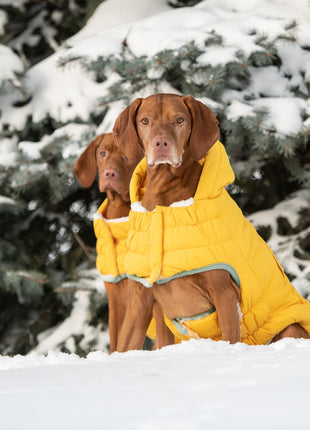 Arctic Parka - Yellow