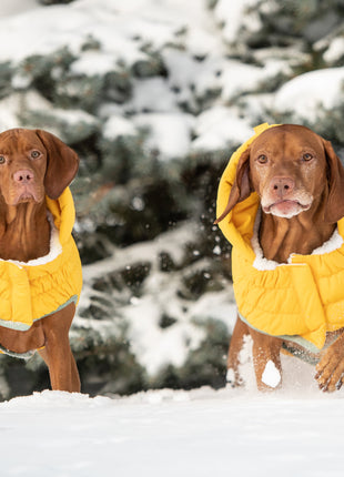 Arctic Parka - Yellow