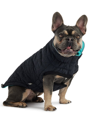 Reversible Chalet Jacket - Black/Aqua