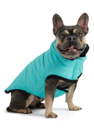 Reversible Chalet Jacket - Black/Aqua