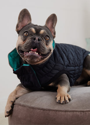 Reversible Chalet Jacket - Black/Aqua