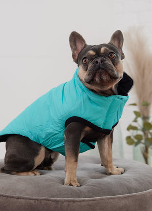 Reversible Chalet Jacket - Black/Aqua