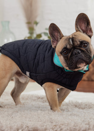 Reversible Chalet Jacket - Black/Aqua