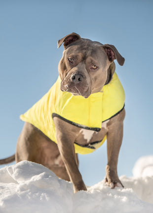 Reversible Chalet Jacket - Sand/Yellow