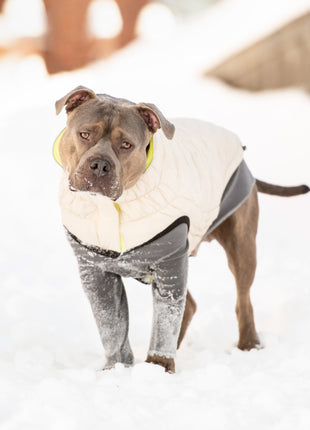 Reversible Chalet Jacket - Sand/Yellow