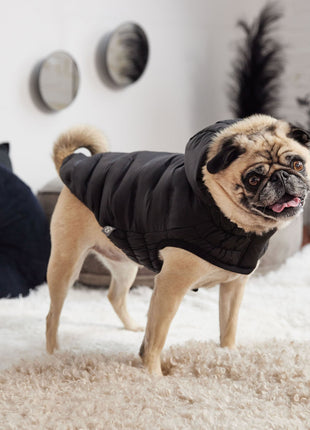 Cloud Parka