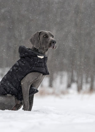 Cloud Parka
