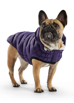 Cloud Parka