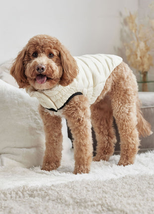 Cloud Parka