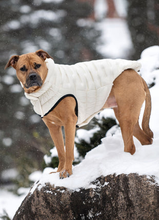 Cloud Parka