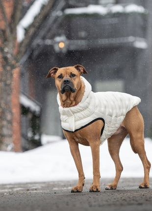Cloud Parka
