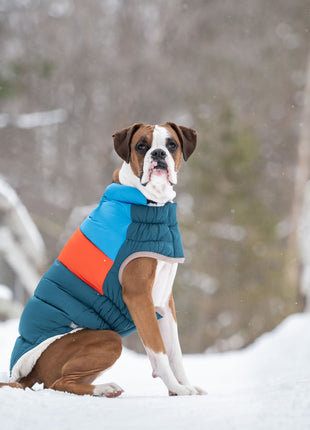 Color Block Puffer