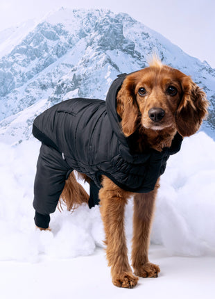 Odysey Snowsuit