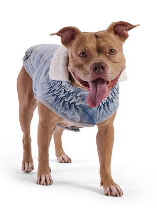 Northside Denim Jacket - Light Wash