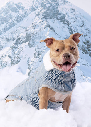 Northside Denim Jacket - Light Wash