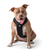 Travel Harness - Black