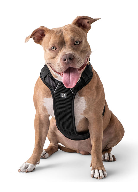 Travel Harness - Black