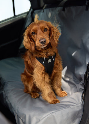 Travel Harness - Black