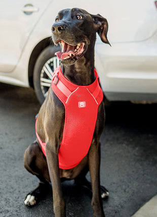 Travel Harness - Red