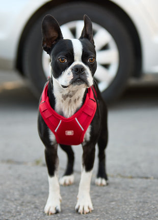 Travel Harness - Red