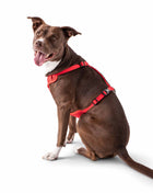 Travel Harness - Red