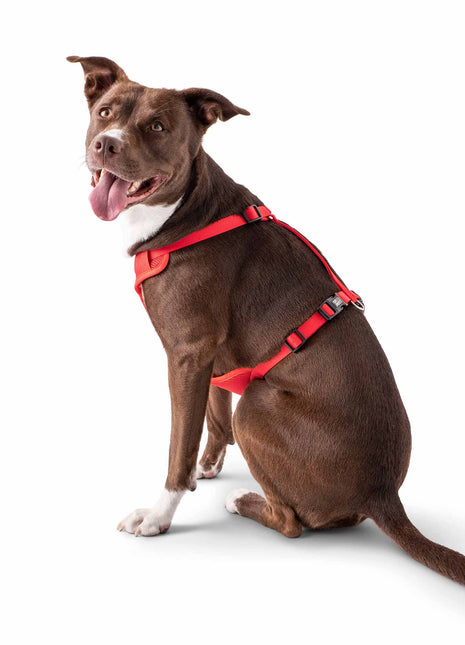 Travel Harness - Red